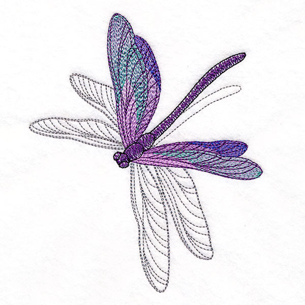 Delicate Shadows Dragonfly