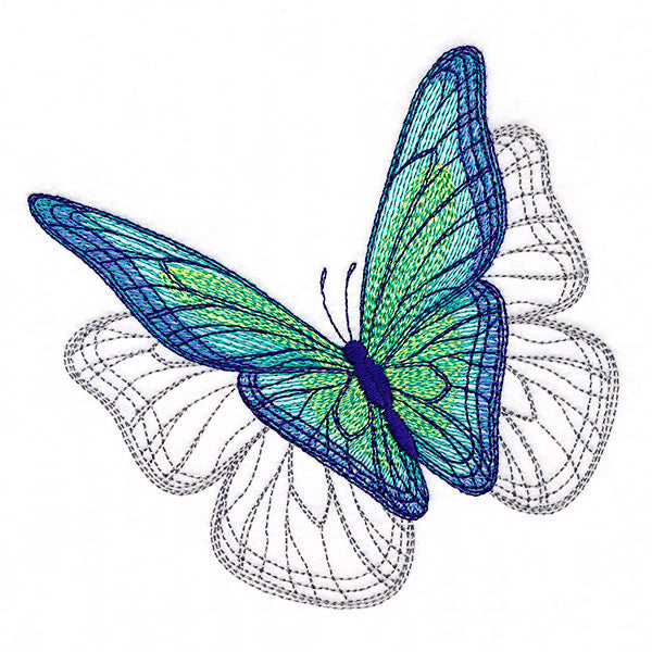 Delicate Shadows Butterfly