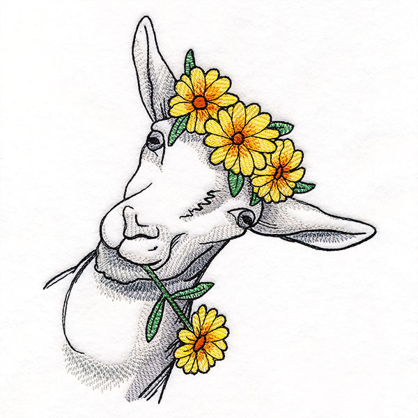 Daisies and Sunshine Goat
