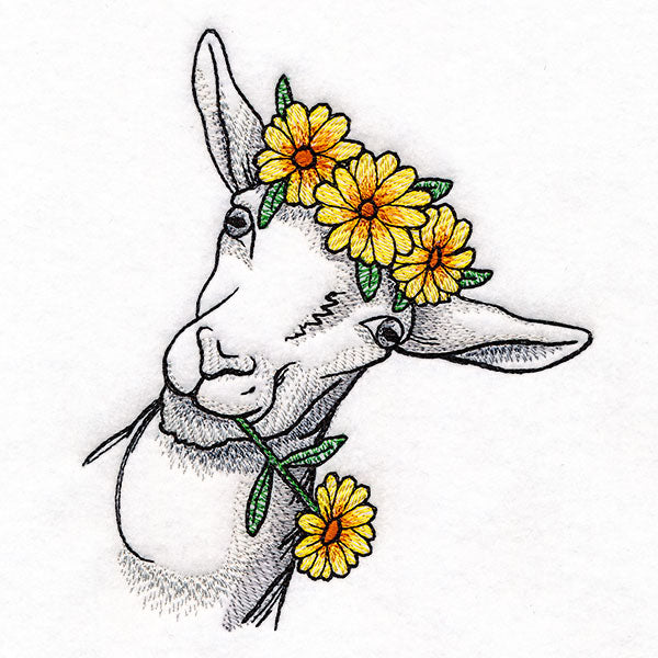 Daisies and Sunshine Goat