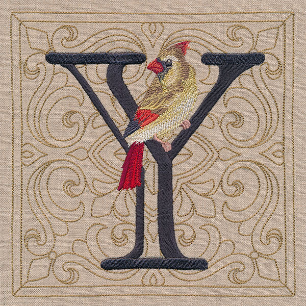 For the Love of Birds Square - Letter Y and Female Cardinal