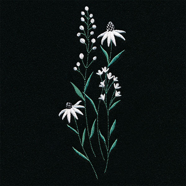 Daisies in the Summer Tall Border