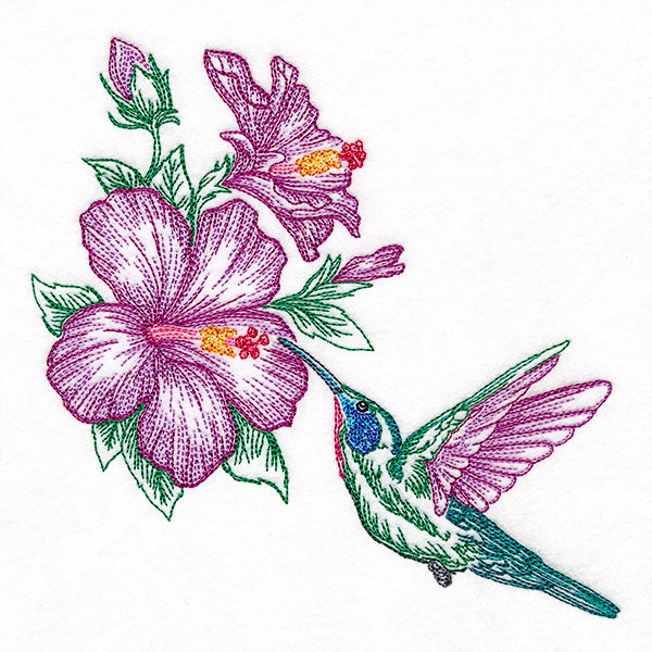 Contours of Beauty Hummingbird & Hibiscus