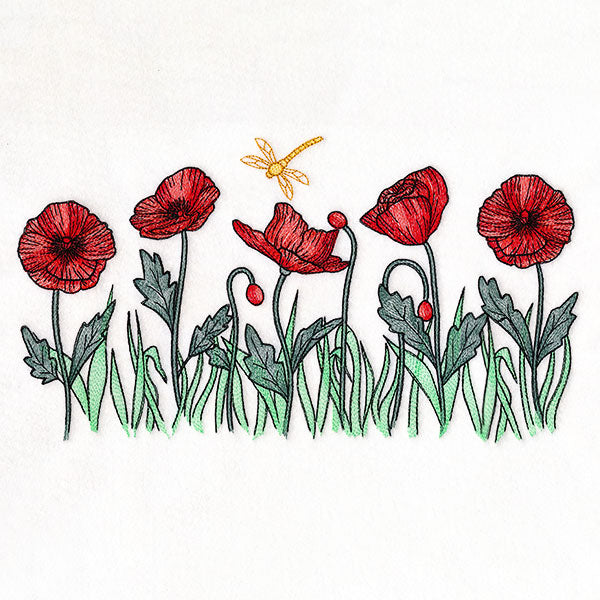 Sunshine and Poppies Border