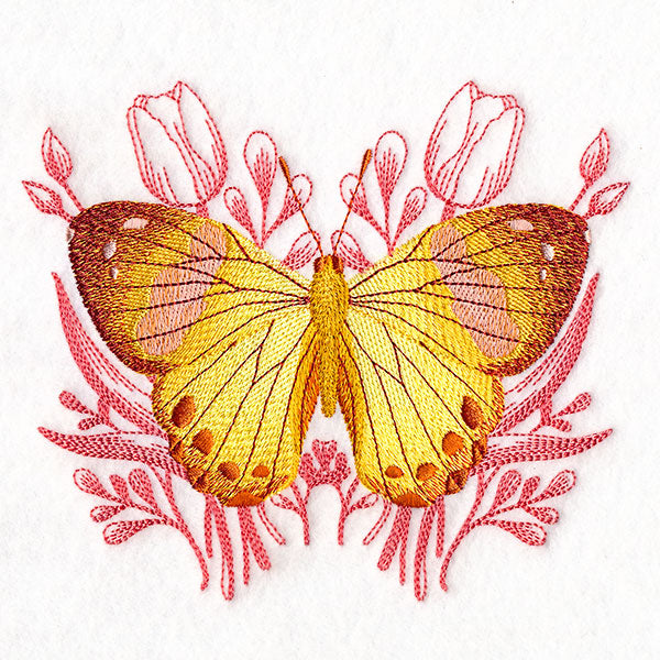 Harlequin Metalmark Butterfly and Tulips