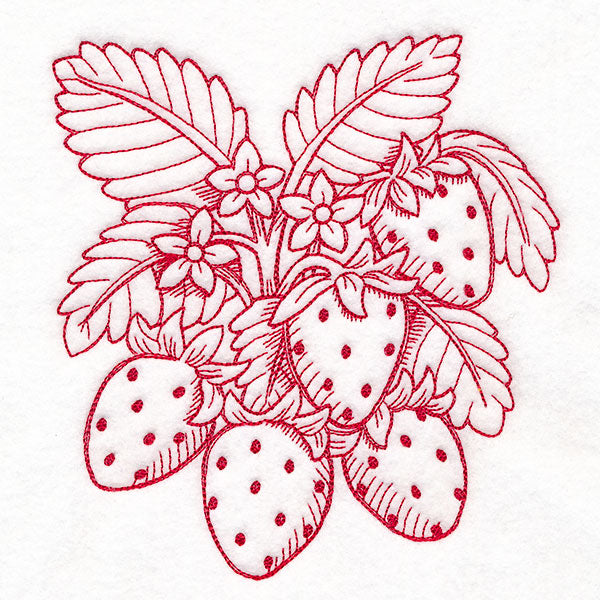 Fresh From Harvest Strawberries Etching