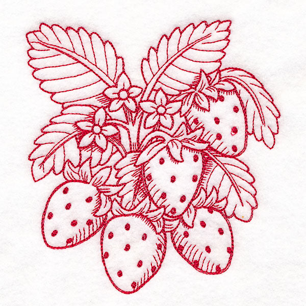 Fresh From Harvest Strawberries Etching
