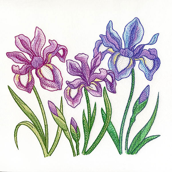 Flourish and Grow Iris Border