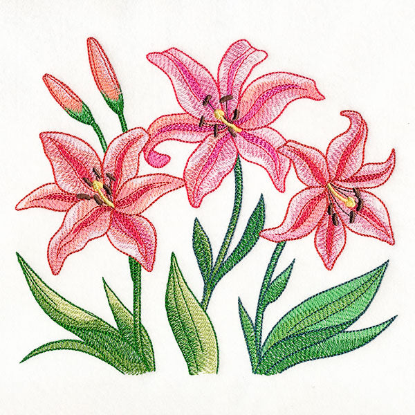Flourish and Grow Lilies Border