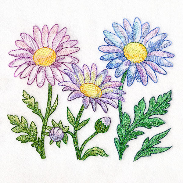 Flourish and Grow Daisies Border