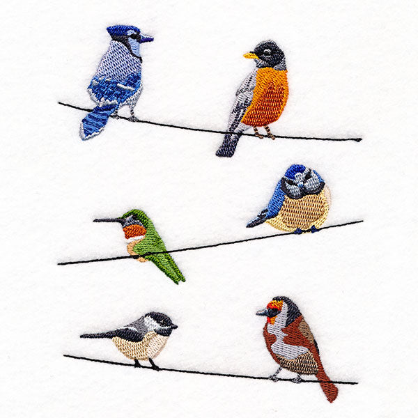 Backyard Birds on a Wire Feature