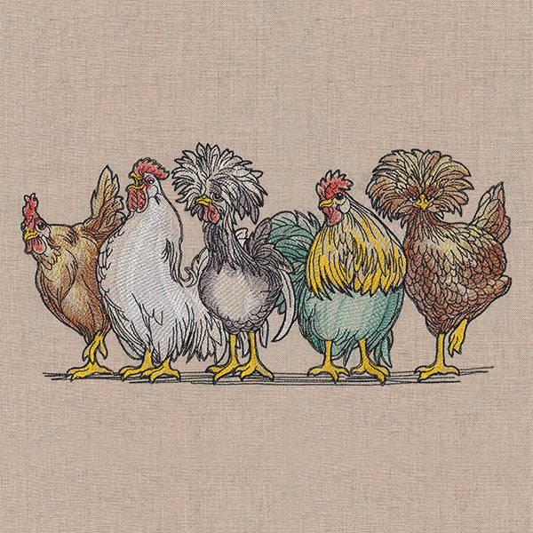 Just My Cluck Chickens Border