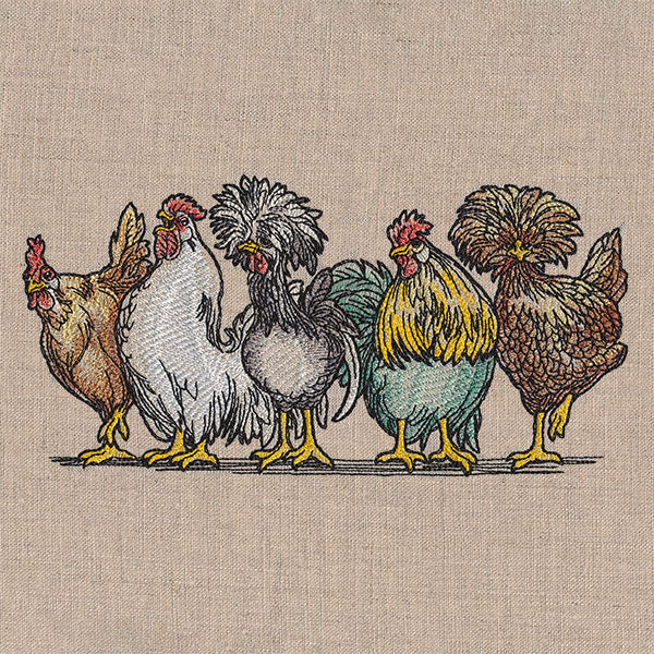 Just My Cluck Chickens Border