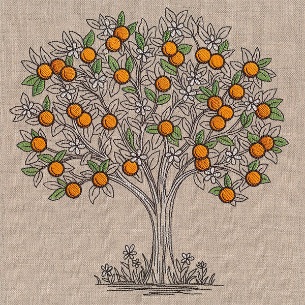 Ready for Harvest Orange Tree Etching