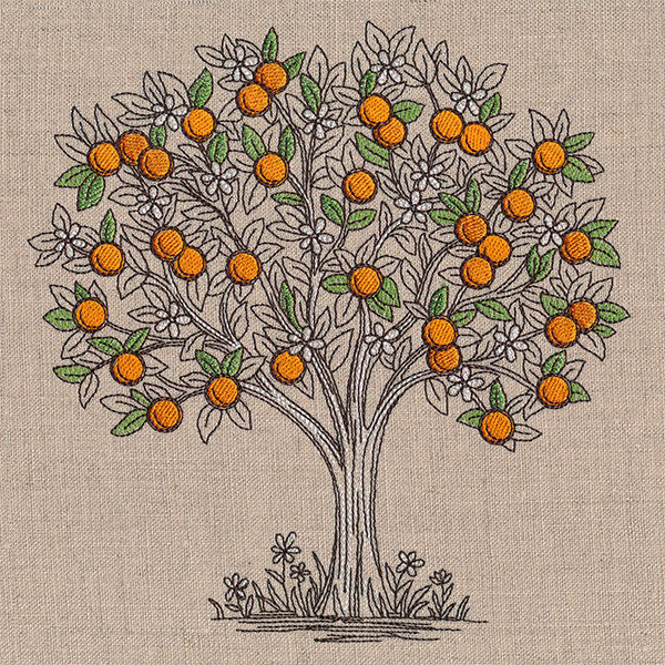 Ready for Harvest Orange Tree Etching
