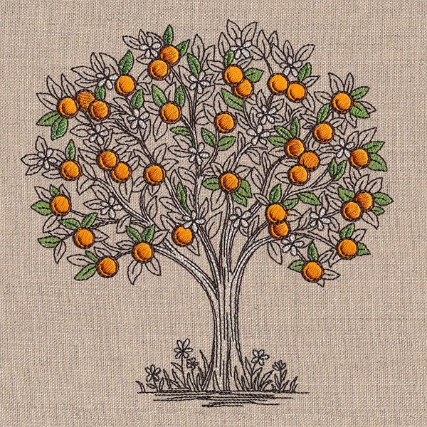 Ready for Harvest Orange Tree Etching