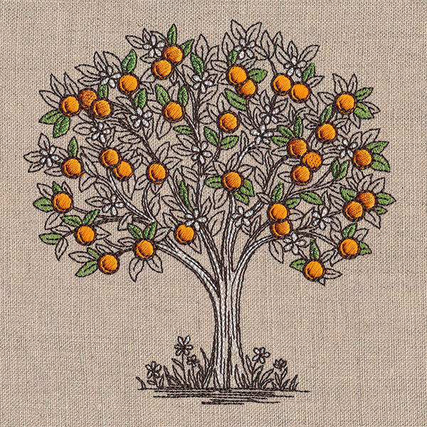 Ready for Harvest Orange Tree Etching