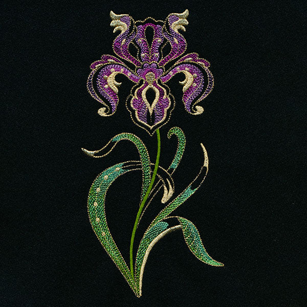 Jacobean Elegance Iris