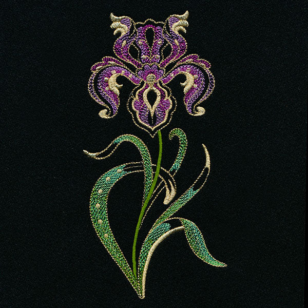Jacobean Elegance Iris