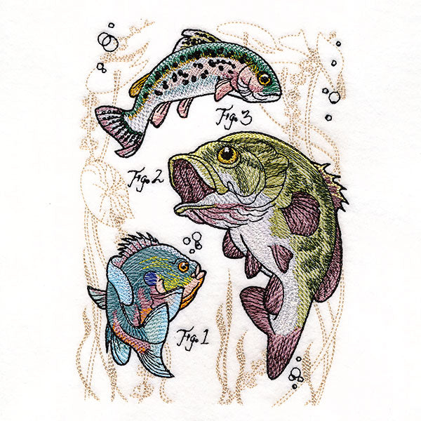 Scientific Fish Medley