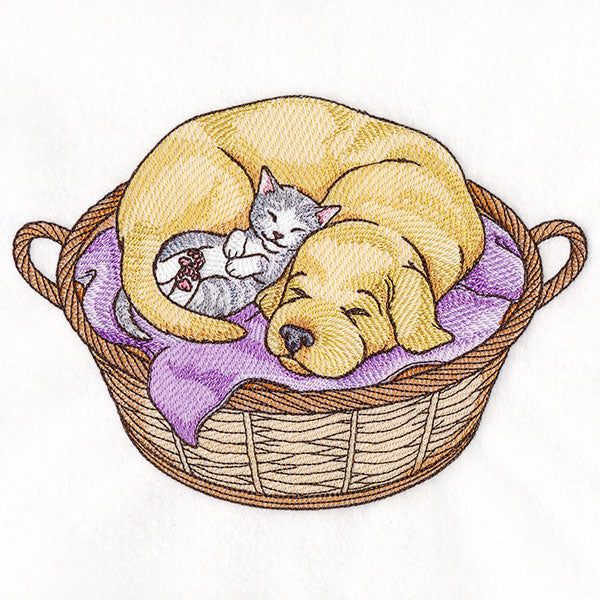 Cuddling Friends Cat and Dog