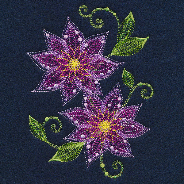 Sheer Magic Clematis