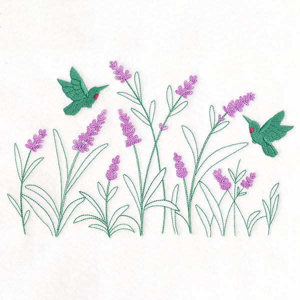 Lavender & Hummingbirds Border