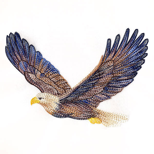 Carried Away Bald Eagle