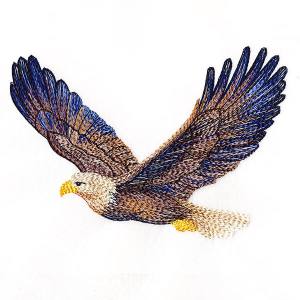 Carried Away Bald Eagle