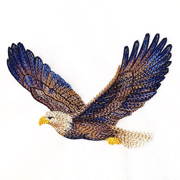 Carried Away Bald Eagle