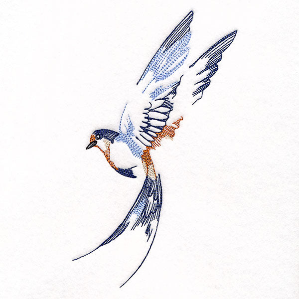 Contours of Beauty Swallow