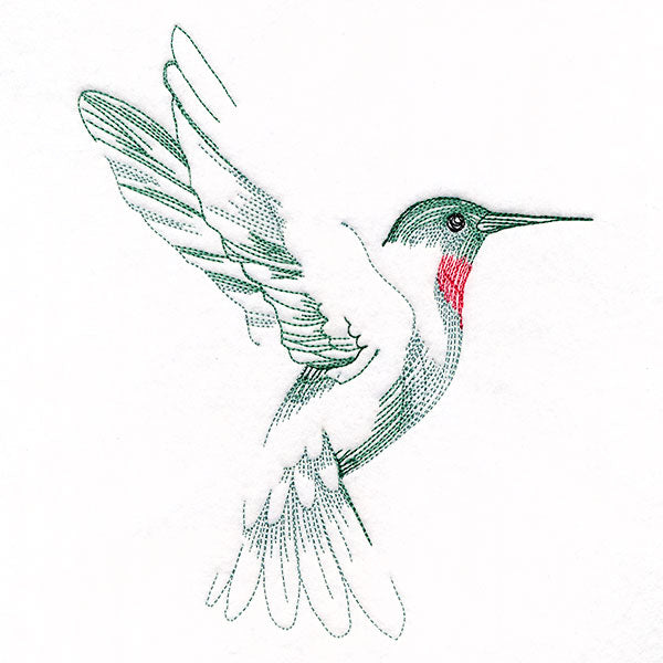 Contours of Beauty Hummingbird