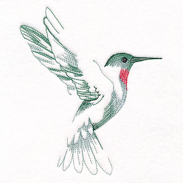 Contours of Beauty Hummingbird