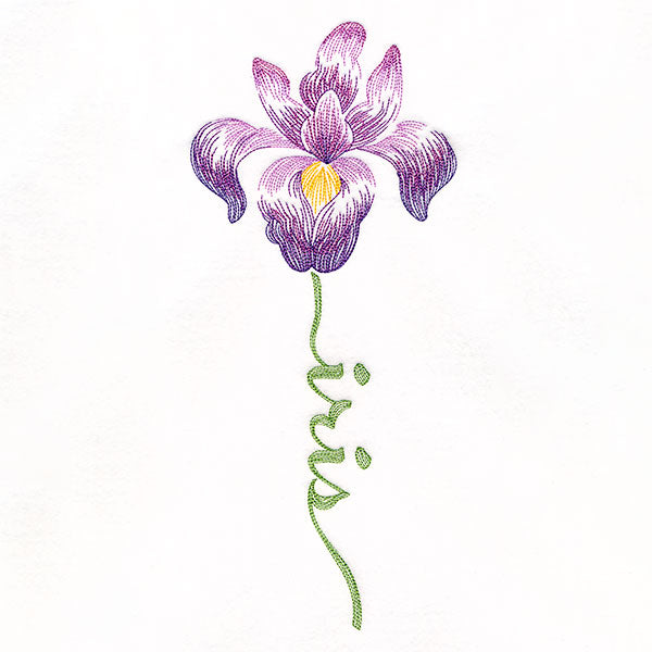 Flourishing Calligraphy - Iris