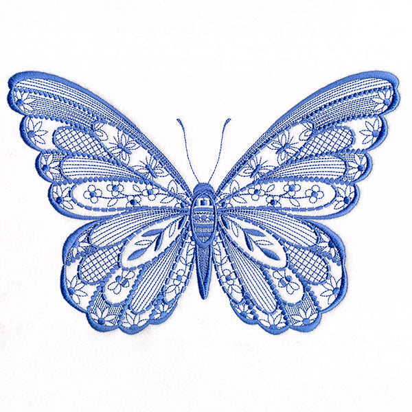 Patterns & Texture Butterfly