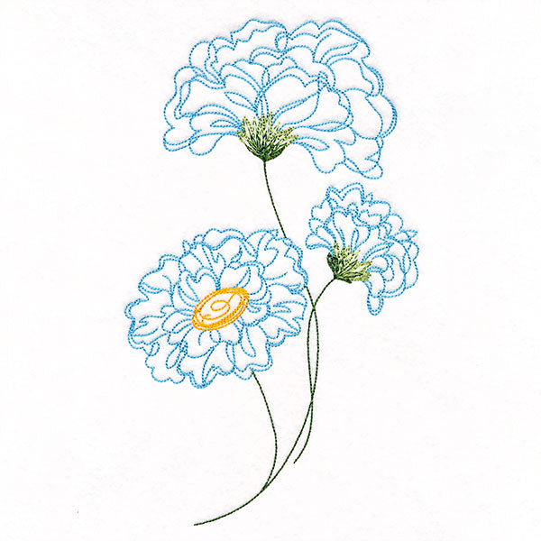 Peony Flowers in Bloom