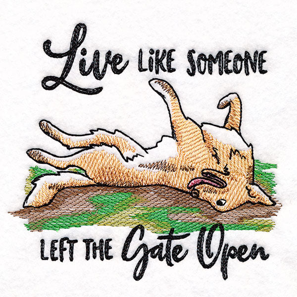 Left the Gate Open Dog