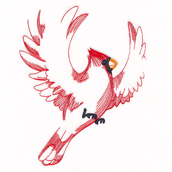 Contours of Beauty Cardinal