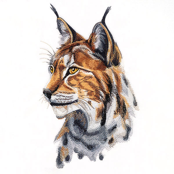 Lynx Portrait