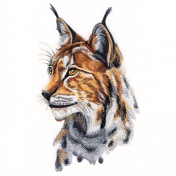 Lynx Portrait