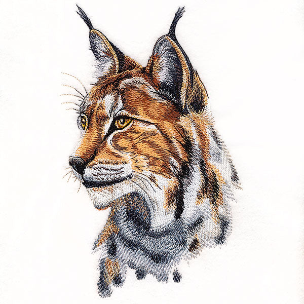 Lynx Portrait