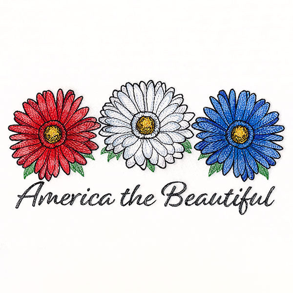 America the Beautiful Daisies