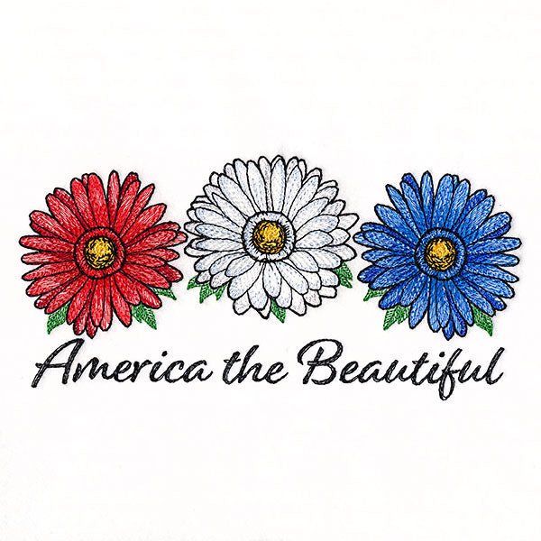 America the Beautiful Daisies