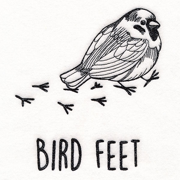 Bird Feet Chickadee