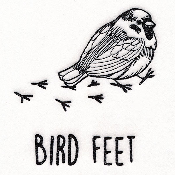 Bird Feet Chickadee