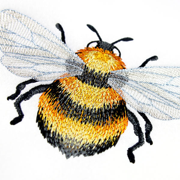 Buzzing with Texture Honeybee