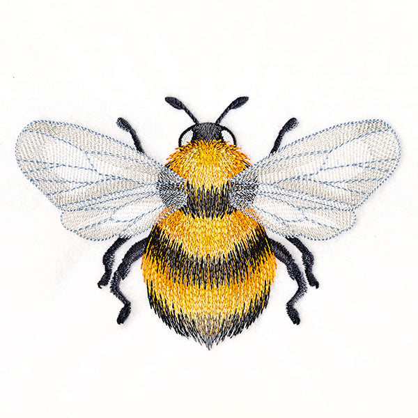 Buzzing with Texture Honeybee