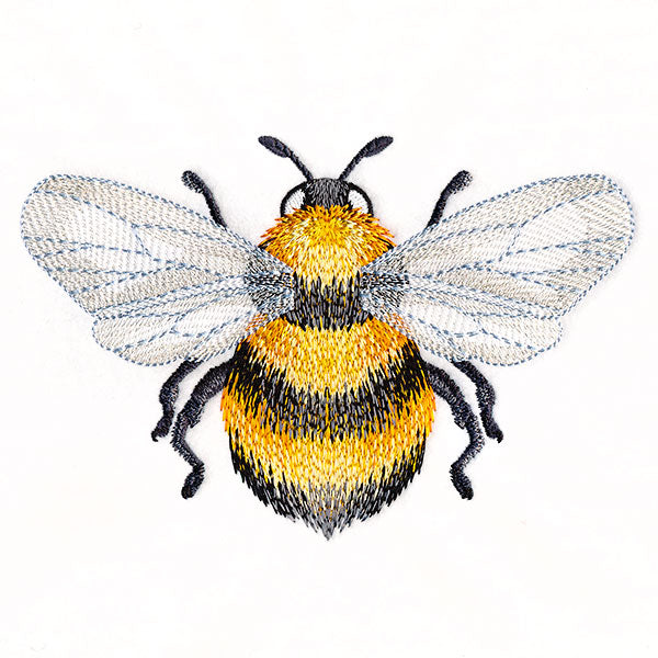 Buzzing with Texture Honeybee