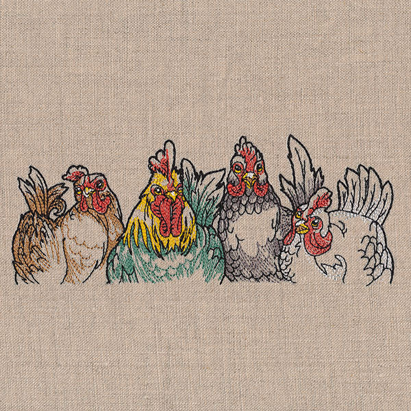 Sassy Chickens Border