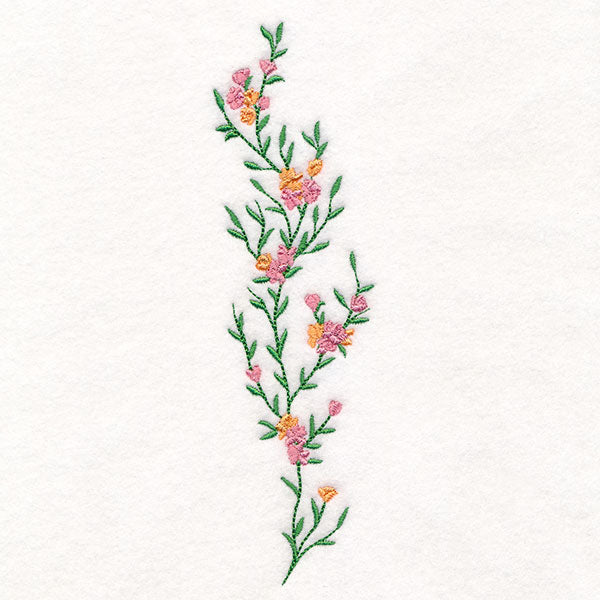 Delicate Botanicals Tall Border